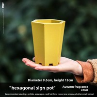 Pots de pépinière minimalistes en plastique PP durable de 7*7,2 cm pour plantes succulentes, avec trou de drainage, pour usage domestique et jardin, vente directe d'usine