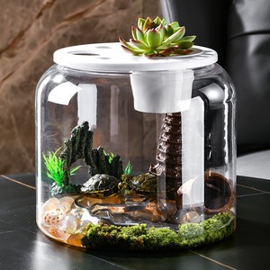 Acuario de Vidrio Transparente, Pecera Transparente para Mascotas Pequeñas, Terrario de Escritorio, Decoración del Hogar - Product Image 5