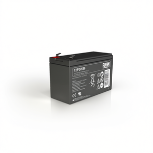Batterie FIAMM 12FGH36 12V 9Ah au plomb-acide rechargeable pour alimentation de secours - Product Image 3