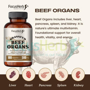Cápsulas FocusHerb de Órganos de Res Alimentado con Pasto 5 en 1 (Hígado, Corazón, Riñón, Páncreas, Linfático) para Apoyo Inmunológico - Product Image 4