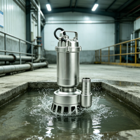 Pompe submersible pour eaux usées en acier inoxydable YL WQ(D)-SA, triphasée/monophasée, sortie filetée BSP 25-80 mm, basse pression, pour usage commercial