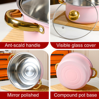Lot de 5 Ustensiles de Cuisine Rose en Acier Inoxydable pour Induction Professionnels, Idéal pour Restaurants et Hôtels, Comprenant Casserole à Lait et Marmites