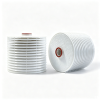 Huahang Supply Nouvelle Cartouche Filtrante Lenticulaire Plissée en Cellulose de 8/12/16 Pouces pour Filtration de Liquides