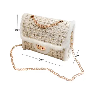 Modieuze Kleine Vrouwen Messenger Bags Vrouwen Schouder Luxe Tassen Designer Wol Bolsa Feminina