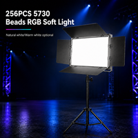 Светодиодная панель RGB 256x5730 с управлением DMX512, естественный/теплый белый свет, двухцветная температура, для конференций и студийного освещения