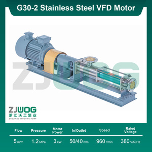 Bomba <span class=keywords><strong>de</strong></span> tornillo simple ZJWOG G30-2G, admite personalización según planos proporcionados. - Product Image 5