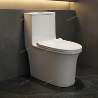 WC monobloc en céramique blanche à siphon, design moderne et épuré, siphon en S 300 mm, vente en gros Chaozhou, très demandé au Mexique