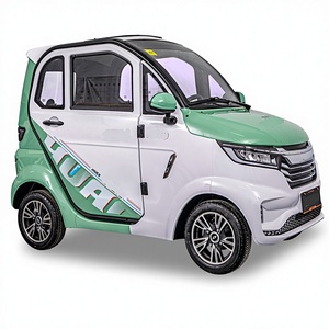 Everbright Mini Auto Elettrica a 4 Ruote, 2 Porte, 2 Posti, Batteria al Litio, Certificata EEC e COC Cinese - Product Image 2