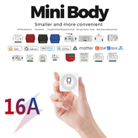 Interruptor Inteligente Mini SIXWGH de Fábrica, Módulo de Relé WiFi de 16A, Temporizador, Control por Voz Bidireccional para Sistema Domótico Matter, OEM ODM
