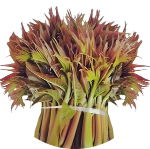 Poudre d'extrait de <span class=keywords><strong>Toona</strong></span> <span class=keywords><strong>Sinensis</strong></span> pure naturelle de haute qualité 10:1, poudre hydrosoluble de <span class=keywords><strong>Toona</strong></span> <span class=keywords><strong>Sinensis</strong></span>, extrait végétal de Chine - Product Image 2