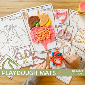 2026 Alfombrillas de Plastilina Súper Suaves y No Tóxicas con Temática de Órganos Humanos para Manualidades, Juguete para Niñas y Niños - Product Image 6