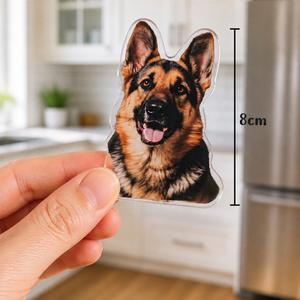 Aimants de réfrigérateur en acrylique personnalisés, mignons, colorés, en forme d'animaux de dessin animé, pour la décoration de la maison et les boutiques de cadeaux, vente en gros - Product Image 3