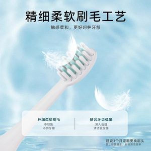 Brosse à dents électrique Super Factory X DZE814, étanche IPX7, poils souples, non rechargeable, boîtier en plastique, pile sèche - Product Image 5