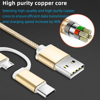 Câble de charge rapide 2 en 1 d'origine en gros d'usine Câble de charge 3.0A Câble de charge USB vers type C pour Android Tye-c