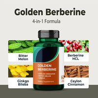 Capsules de berbérine HCl et de cannelle de Ceylan OEM/ODM, équilibre métabolique, vente en gros et formules personnalisées