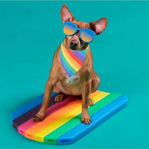 Productos Promocionales a Precio Económico, Envío Rápido, Pañuelo Triangular para Perro con Estampado de Sublimación Navideño, Pañuelo Personalizado para Mascotas con Logotipo - Product Image 6