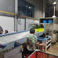 Industriële citroenverwerkingsinstallatie automatische groente- en fruitreinigingsmachine 304 roestvrij staal verse citroenlijn