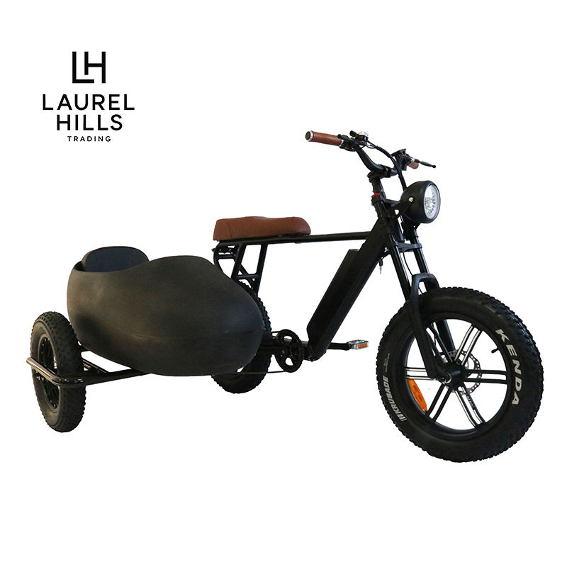 Electric Bike Sidecar Wheel Fat Tire Retro Design