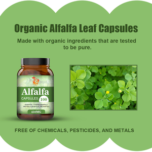 Cápsulas de Alfalfa de Marca Privada OEM para el Bienestar General, Ayuda a la Energía y la Resistencia, 900 mg, Cápsulas de Suplemento Herbal de Alfalfa Orgánica - Product Image 2
