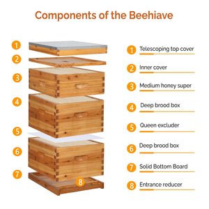 Hot Sale Wax Coated Wooden Bee Hive Boxes Complete Langstroth Beehive 10 <b>Frames</b> - Product Image 4