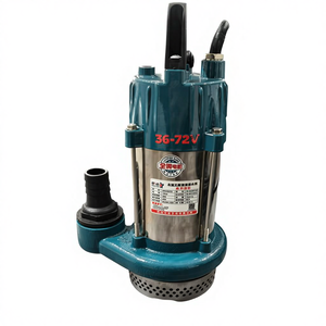 50ZQB750 12V DC <span class=keywords><strong>pompe</strong></span> à eau submersible en acier inoxydable haute pression <span class=keywords><strong>10m</strong></span> ³/h débit 18m tête d'<span class=keywords><strong>aspiration</strong></span> pour l'irrigation agricole - Product Image 1