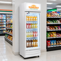 Vitrine Réfrigérée Commerciale Verticale à Refroidissement par Air pour Boissons, Présentoir Réfrigéré avec Porte Vitrée pour Entreposage et Supermarchés