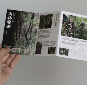 B2B Custom Product <strong>Booklets</strong> | High-Resolution <strong>Printing</strong> with Custom Logo &amp; Content - Product Image 5