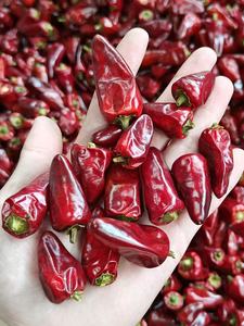 <span class=keywords><strong>Piment</strong></span> Chili Entier Naturel Séché AD avec SHU Personnalisé, Sans Additifs et Emballage d'Exportation - Product Image 6