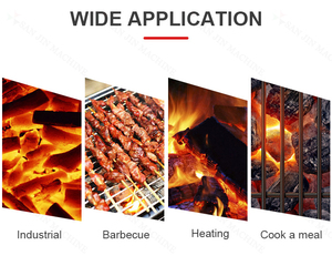 Nuova Macchina per la Produzione di Carbone Vegetale, Linea di Produzione per Carbone da Barbecue - Product Image 6