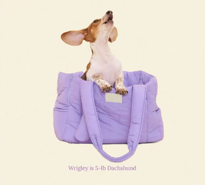 Küçük köpek çanta hafif yavru taşıyıcı moda kadın tote için evcil hayvan çantası küçük yavrular çanta gıda su Poop çanta evcil hayvanlar için - Product Image 6