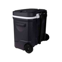 Glacière portable Bearhike Modern 38L avec roulettes et isolation, conservation de la glace pendant 5 jours, stockage alimentaire