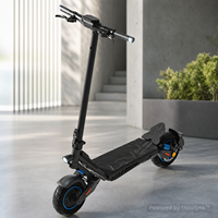 Scooter Eléctrico Todoterreno Plegable N07 48V 800W 15Ah con Marco de Acero de 10 Pulgadas, Venta al Por Mayor