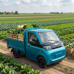 Camionnette électrique à quatre roues Esun, mini véhicule électrique, 45 km/h, benne <span class=keywords><strong>de</strong></span> chargement, batterie au lithium ternaire, autonomie <span class=keywords><strong>de</strong></span> 101 à 200 km, à <span class=keywords><strong>vendre</strong></span> - Product Image 1