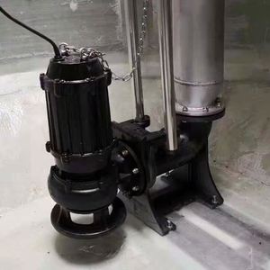<b>Submersible</b> <b>Pump</b> 220V Stainless Steel Dirty Water <b>Pump</b> Sewage Waste Water <b>Submersible</b> <b>Pump</b> Water Dirty - Product Image 2
