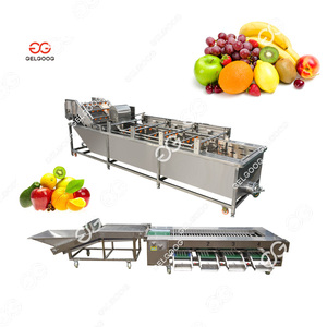 Full Automatic Industrial Avocado Cassava Carrot Washing Peeling Polishing 800kg/h <b>Fruit</b> and <b>Vegetable</b> Bubble Washing <b>Machine</b> - Product Image 3