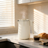 Bouilloire électrique en acier inoxydable 800W 1L portable avec arrêt automatique et fonction maintien au chaud pour la maison, l'hôtel et l'extérieur