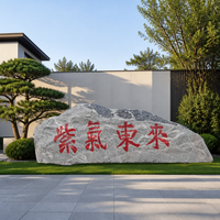 Bloc de granit gris brut de Shandong TY, taillé à la machine, poli/flamé, solution écologique moderne et complète pour villas et parcs
