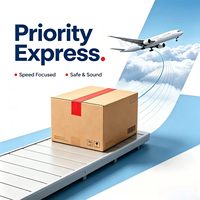 Service de livraison express aérien auprès d'un transitaire, agent d'expédition économique pour la gestion de fret urgent et la logistique porte-à-porte
