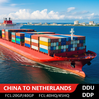 Transitaire de fret chinois bon marché pour l'expédition maritime vers les Pays-Bas livraison porte à porte (DDP/DDU) pour les produits LCL + Express