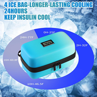 Boîte isotherme à double paroi pour insuline, contrôle extrême de la température, efficacité maximale, glacière pour insuline