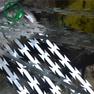 <span class=keywords><strong>Alambre</strong></span> <span class=keywords><strong>de</strong></span> Púas Galvanizado <span class=keywords><strong>de</strong></span> Seguridad, Tipo <span class=keywords><strong>Concertina</strong></span>, Anti-Escalada, para Cárceles - Product Image 6