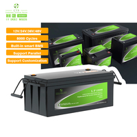 Baterai Lithium Iron Phosphate CTS Deep Cycle 12V 24V 100Ah 200Ah untuk Penyimpanan Energi Surya dan Cadangan UPS