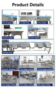 खाद्य उद्योग की जांच वेस्टर मल्टीलाइन कन्वेयर स्केल और चेवेस्टर वजन जांच मशीन - Product Image 4