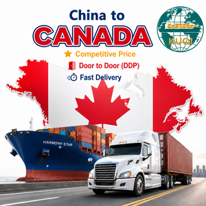 Spedizioniere dalla Cina agli USA e Canada, Agente di Spedizione DDP Porta a Porta per New York e Oakland - Product Image 1