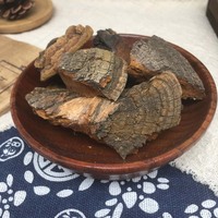 Vente de gros Sang Huang Champignons sauvages Phellinus Linteus et Phellinus Igniarius séchés en vrac Épices et herbes