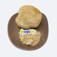 Hoogwaardige Leeuwenmanenchampignon 100% Hericium Erinaceus Vruchtvormende Stof Natuurlijk Leeuwenmanenchampignon Poeder