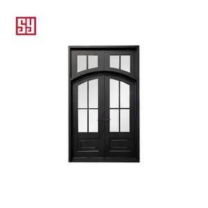 Modern Minimalist Forged Iron Entrance Door With Enclosed Skylight For Outdoor Applications