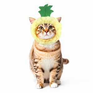 Cappello da compagnia personalizzato Kingtale nuovo cartone animato corna di alce stile molti colori del copricapo per animali domestici cappello per cane e gatto - Product Image 2