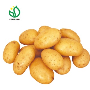 2019 nouvelle récolte de <span class=keywords><strong>patates</strong></span> <span class=keywords><strong>douces</strong></span> pour l'exportation - Product Image 1