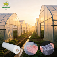 Film de serre polytunnel stabilisé aux UV, couverture en plastique transparent durable pour les cultures agricoles commerciales